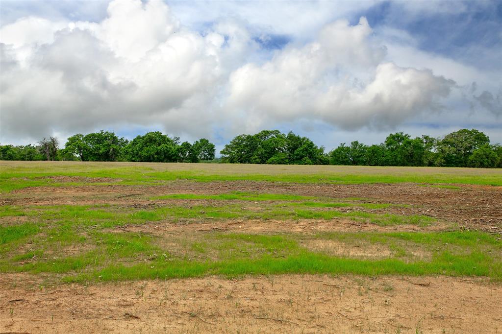 155 Green Acres Lane, Milano, Texas image 6