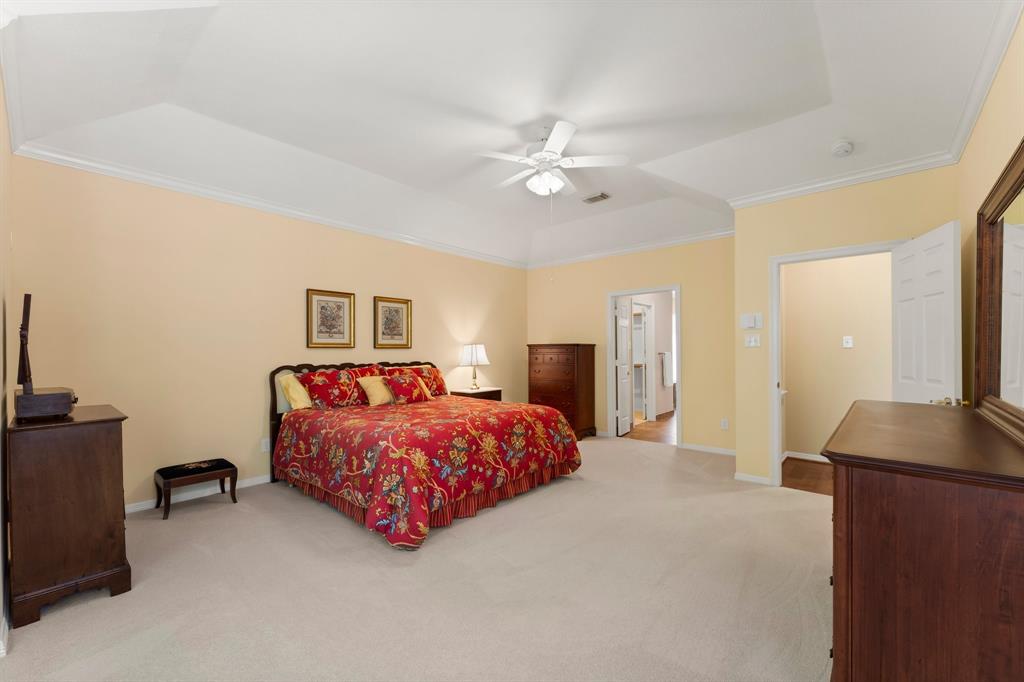 10 Silkbay Place, The Woodlands, Texas image 28