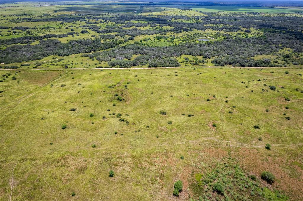 41.5 Acres County Road 18, Hallettsville, Texas image 1