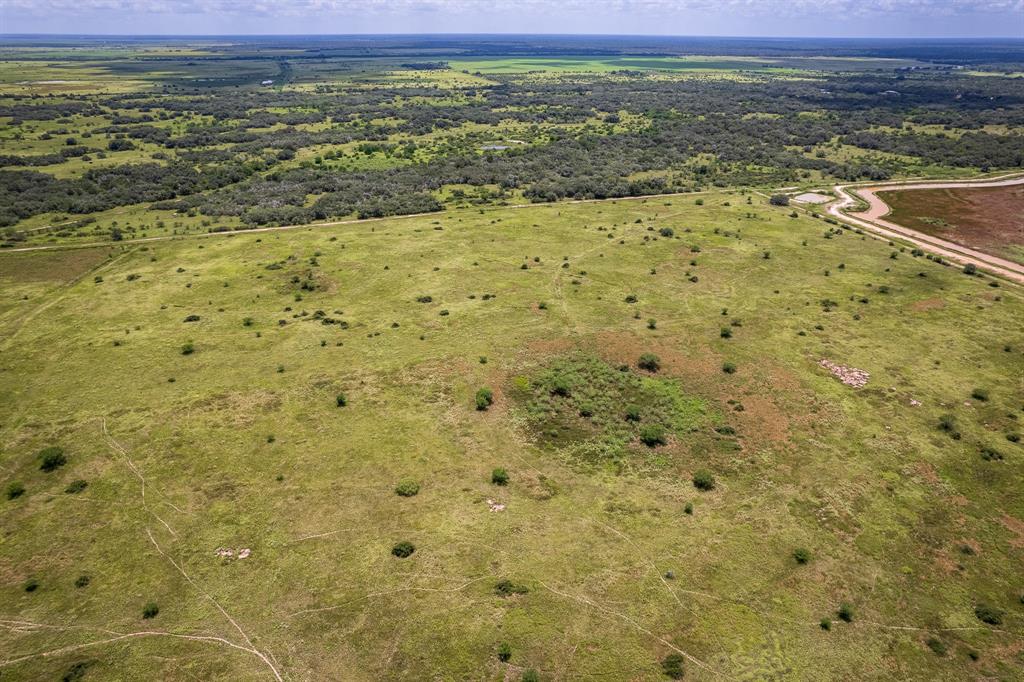 41.5 Acres County Road 18, Hallettsville, Texas image 7