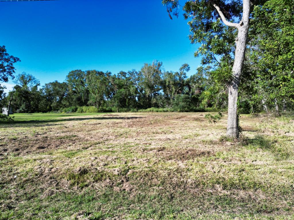 118 Duranzo Road, Jones Creek, Texas image 4