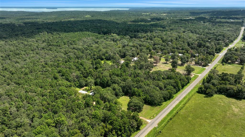 TBD Hwy 156, Coldspring, Texas image 10