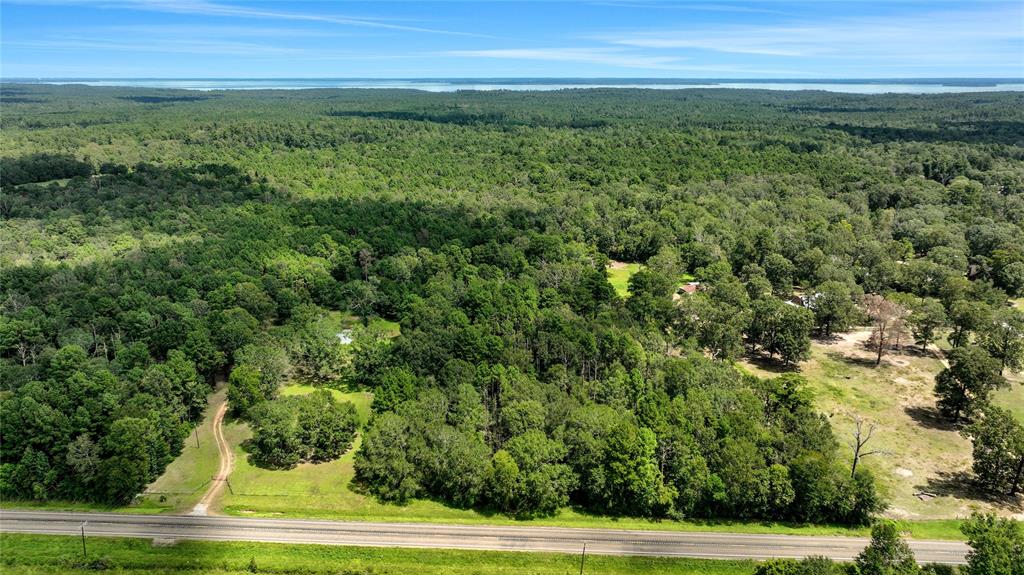 TBD Hwy 156, Coldspring, Texas image 6