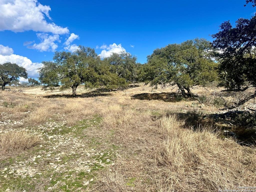 125 Loma Vista Ranch, Kerrville, Texas image 9