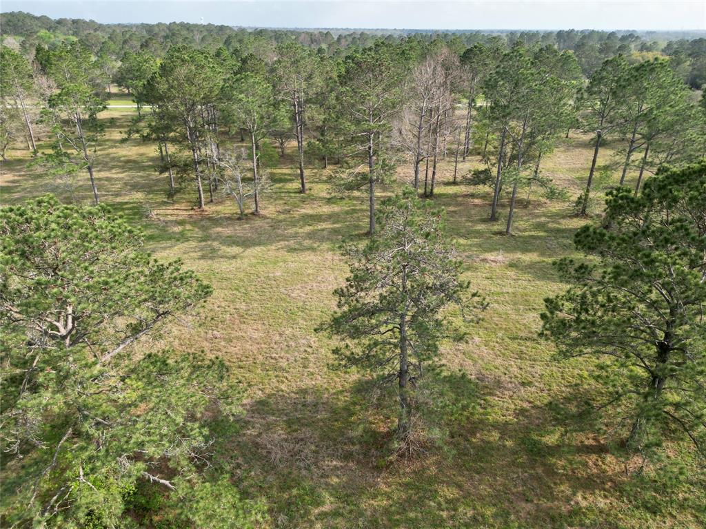 County Road 196, Liverpool, Texas image 5