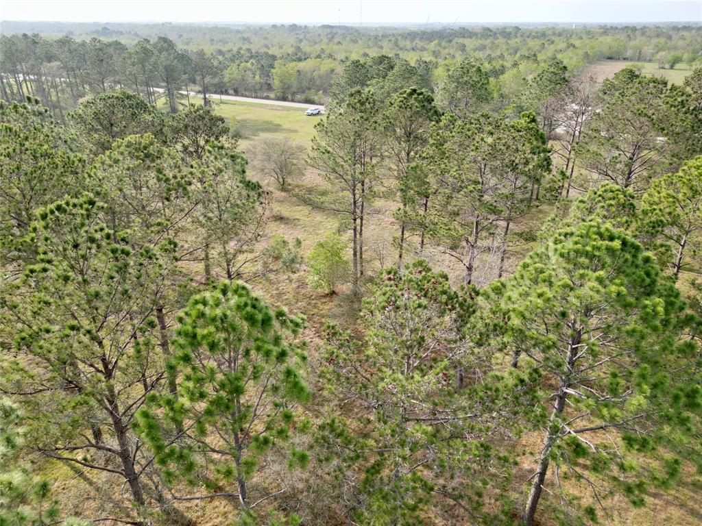 County Road 196, Liverpool, Texas image 4