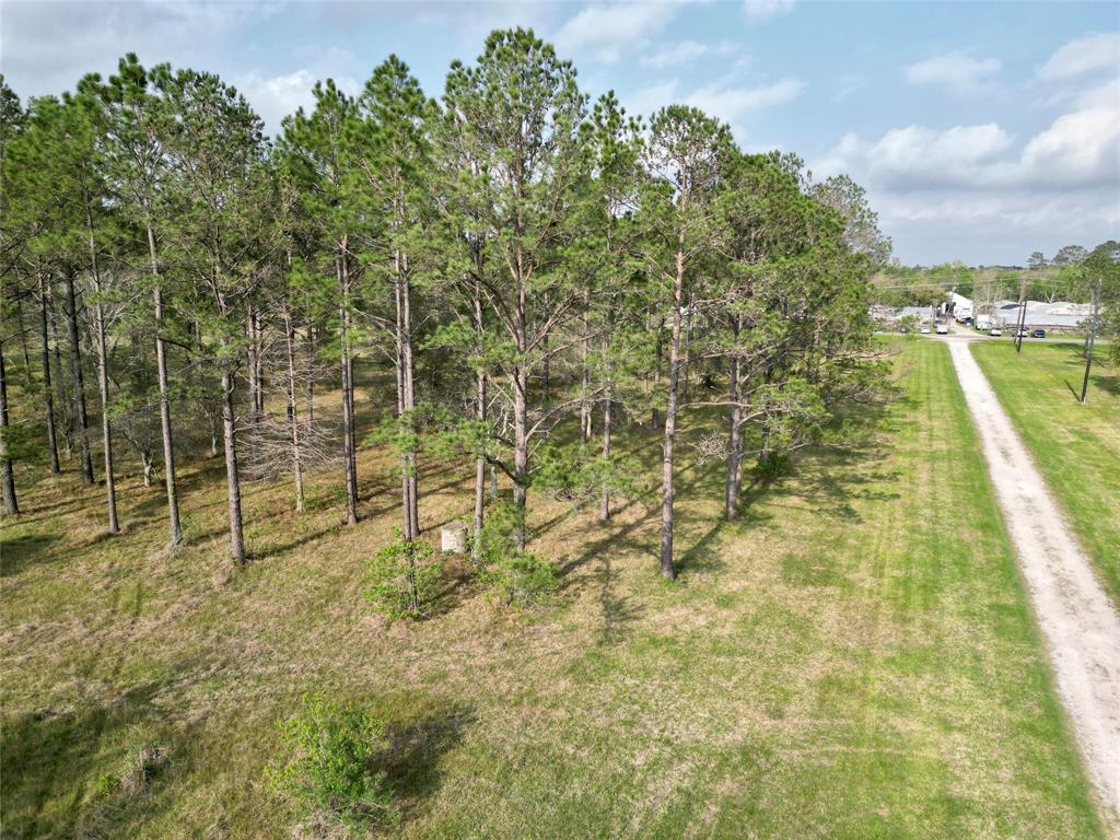 County Road 196, Liverpool, Texas image 3