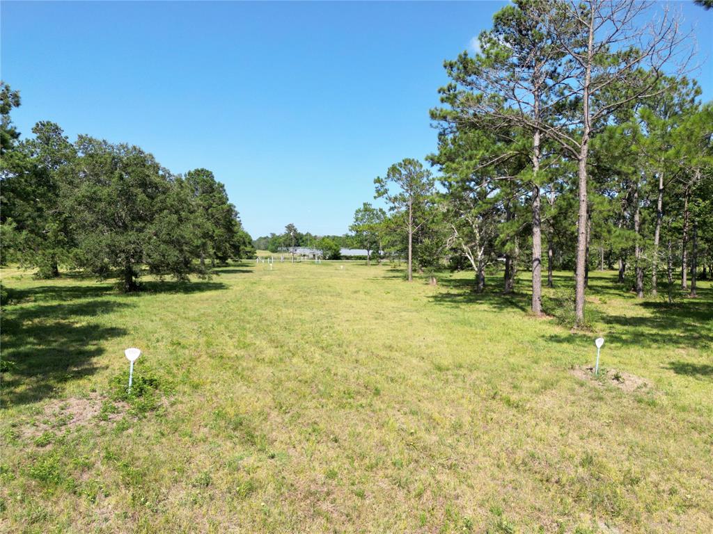 County Road 196, Liverpool, Texas image 6