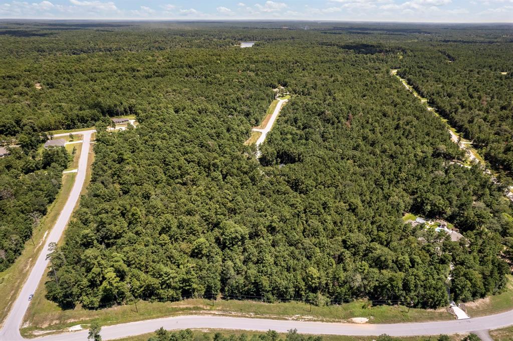 Lonestar Road, Huntsville, Texas image 2