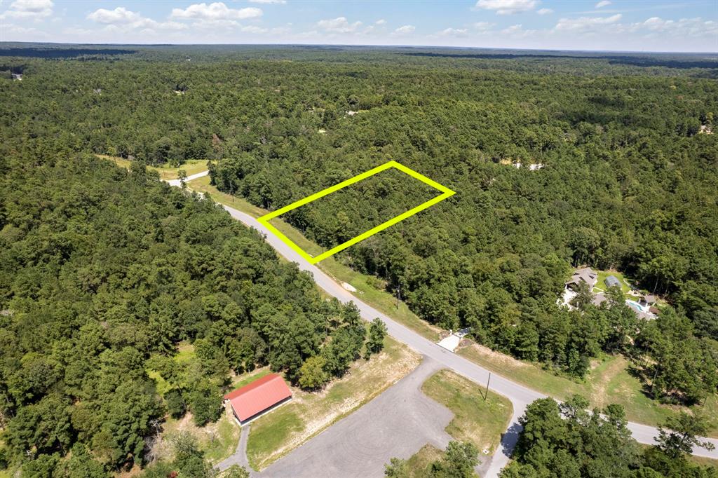 Lonestar Road, Huntsville, Texas image 11