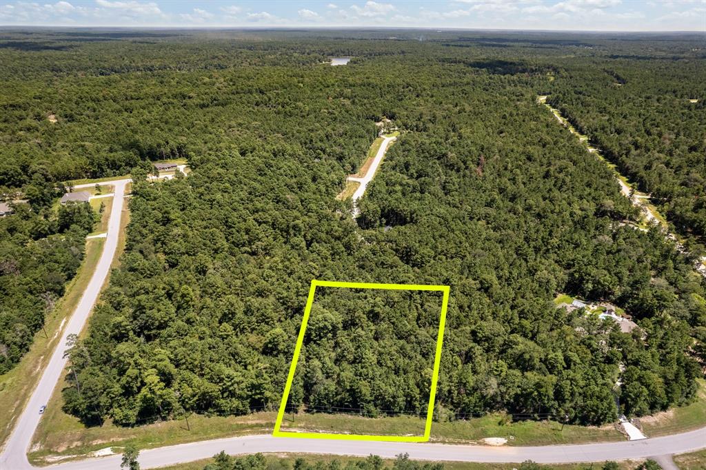 Lonestar Road, Huntsville, Texas image 1