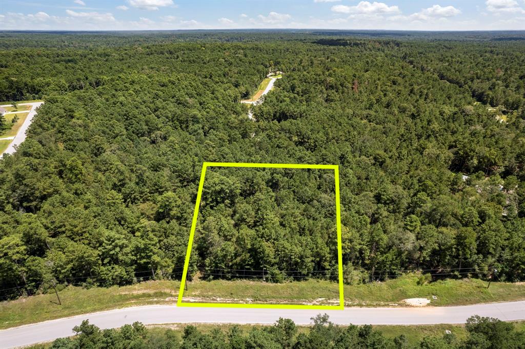 Lonestar Road, Huntsville, Texas image 3