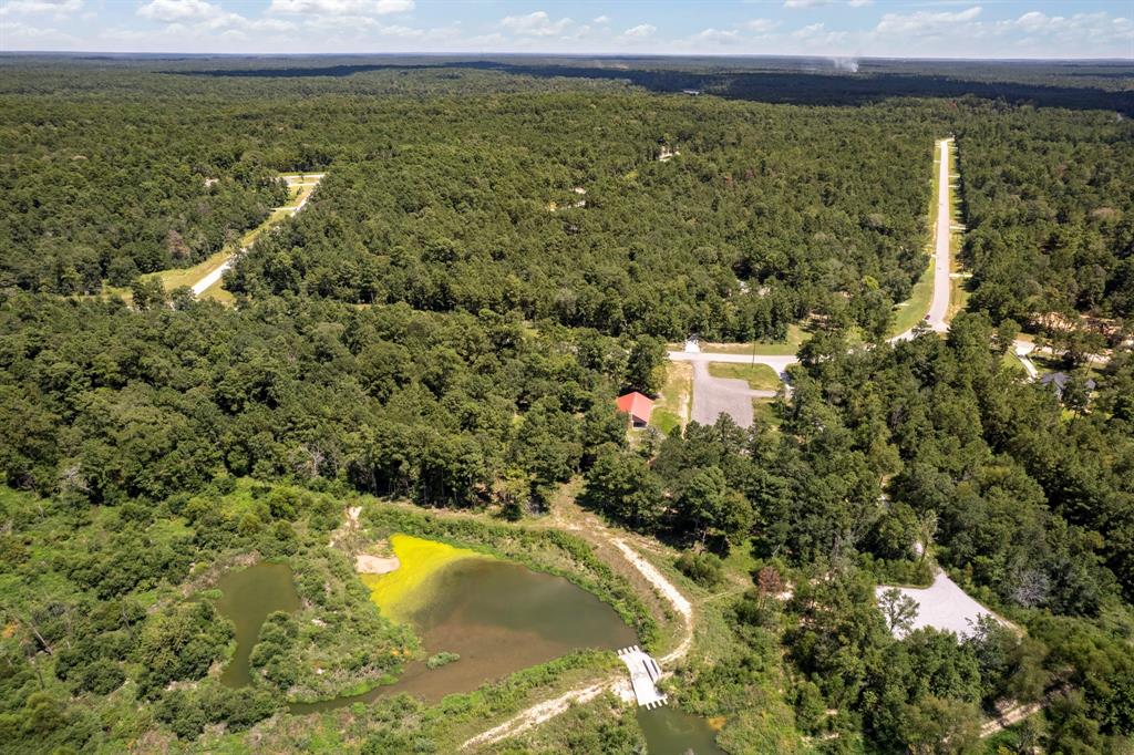 Lonestar Road, Huntsville, Texas image 16