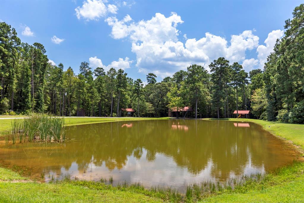 Lonestar Road, Huntsville, Texas image 17