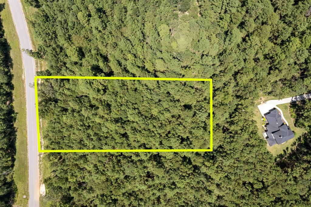 Lonestar Road, Huntsville, Texas image 9