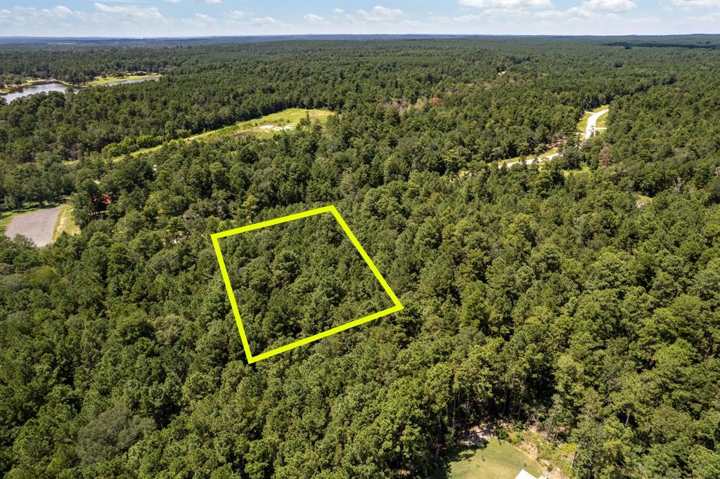 Lonestar Road, Huntsville, Texas image 6
