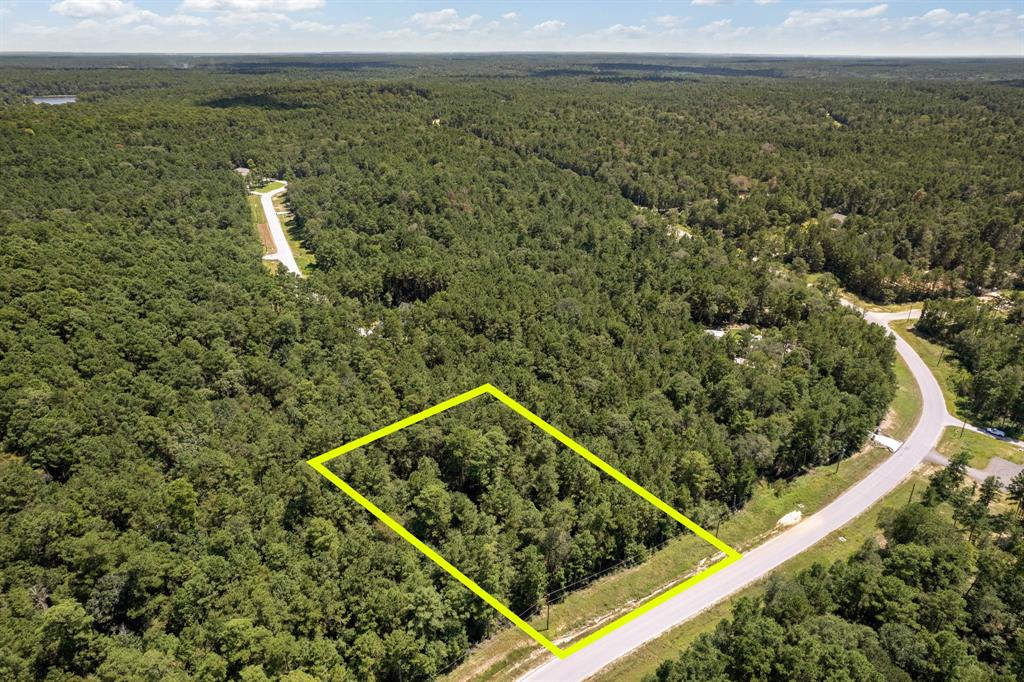 Lonestar Road, Huntsville, Texas image 4