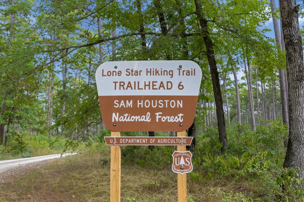 Lonestar Road, Huntsville, Texas image 33