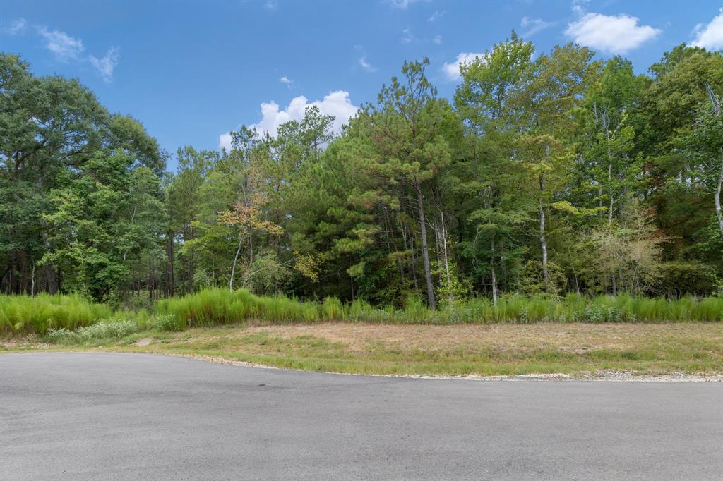 Lonestar Road, Huntsville, Texas image 15