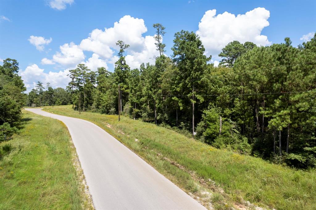 Lonestar Road, Huntsville, Texas image 14