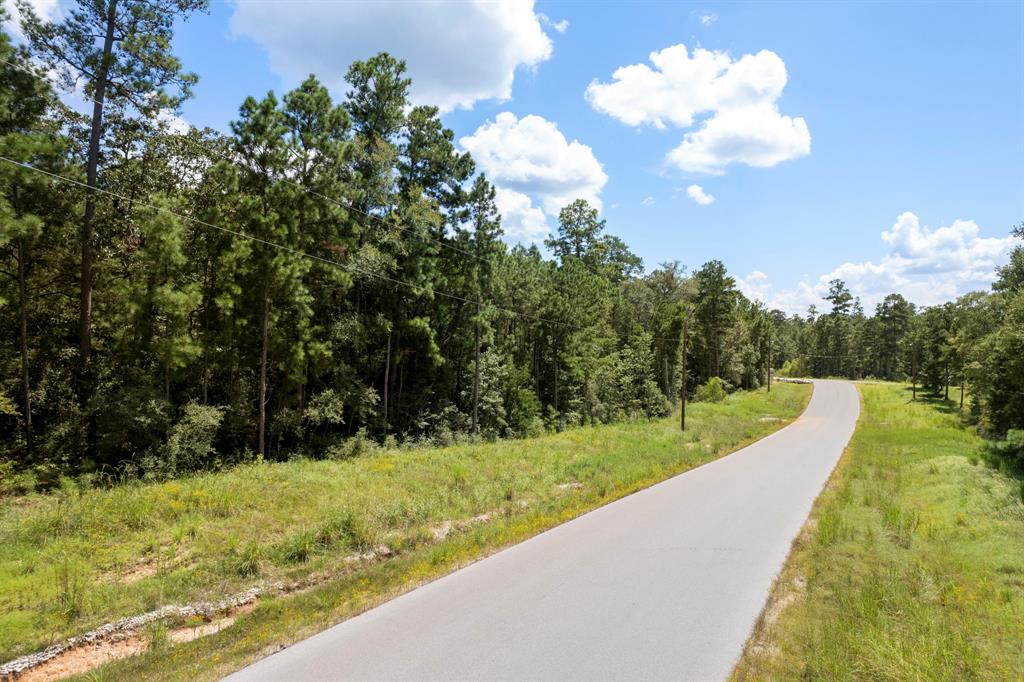 Lonestar Road, Huntsville, Texas image 13