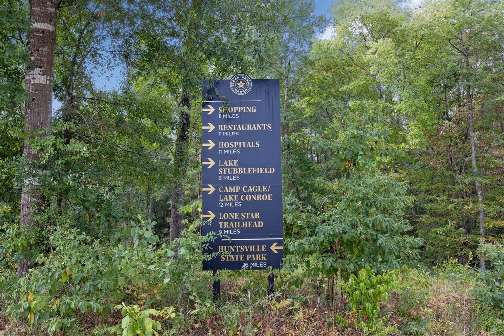 Lonestar Road, Huntsville, Texas image 29