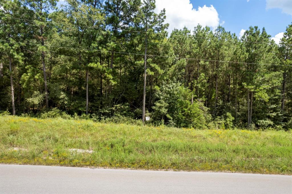 Lonestar Road, Huntsville, Texas image 12