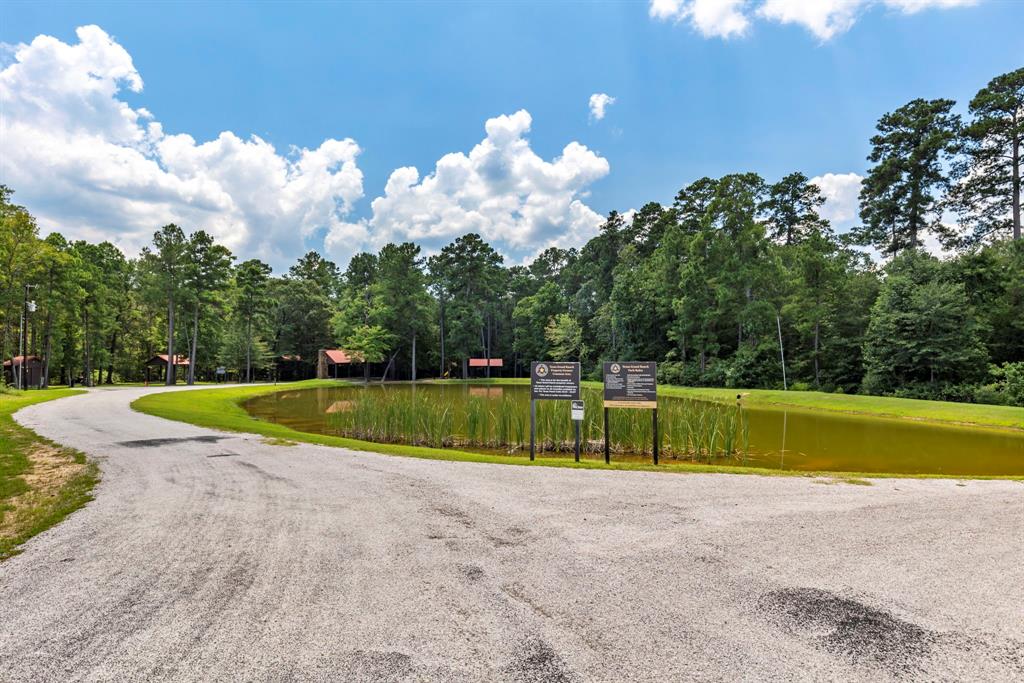 Lonestar Road, Huntsville, Texas image 18