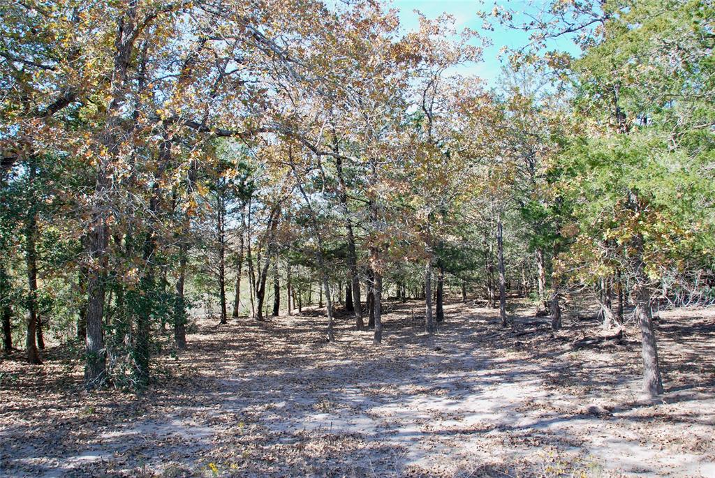 TBD Herman Lane, Flatonia, Texas image 10