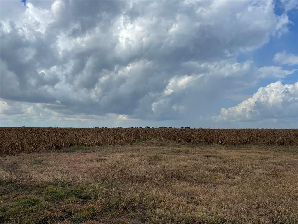 Hwy 87, Port Lavaca, Texas image 7