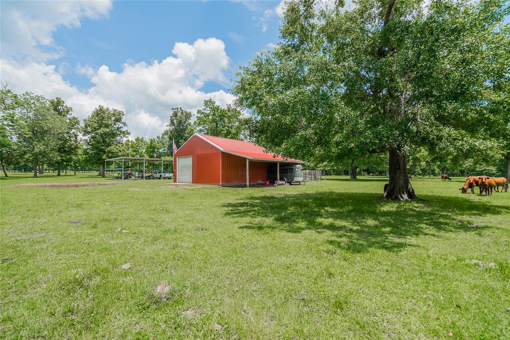 1003 Ellisor Road, New Waverly, Texas image 37