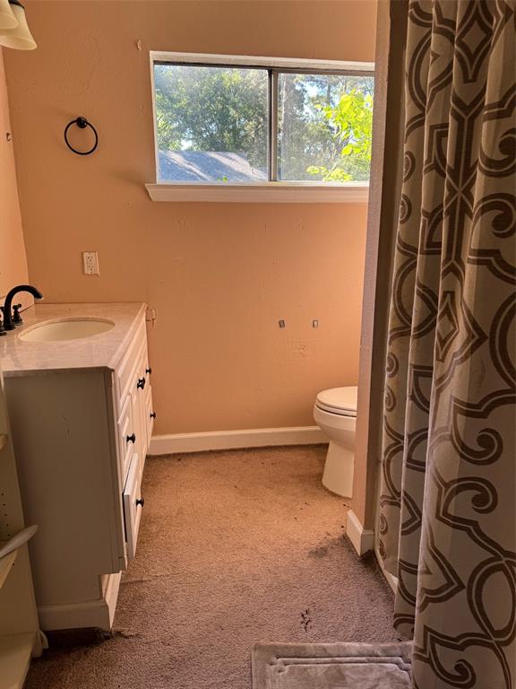 1 Meadow Star Court, Spring, Texas image 31