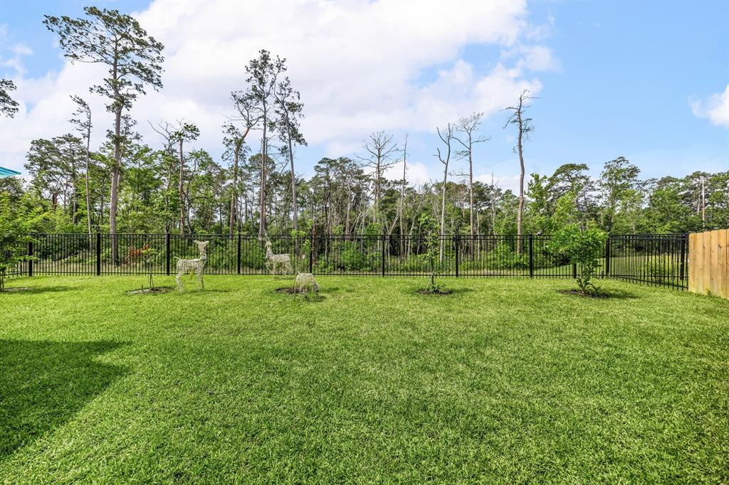 1193 Stillwater Pond Dr Dr, Conroe, Texas image 34