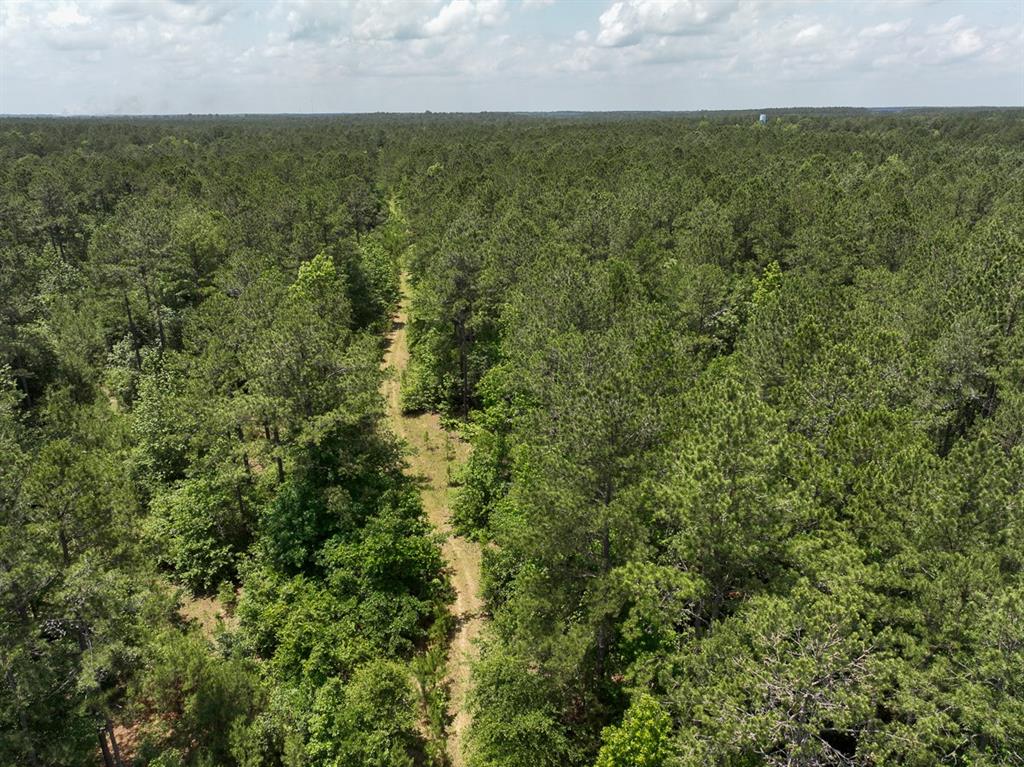 5 Highway 190, Oakhurst, Texas image 5