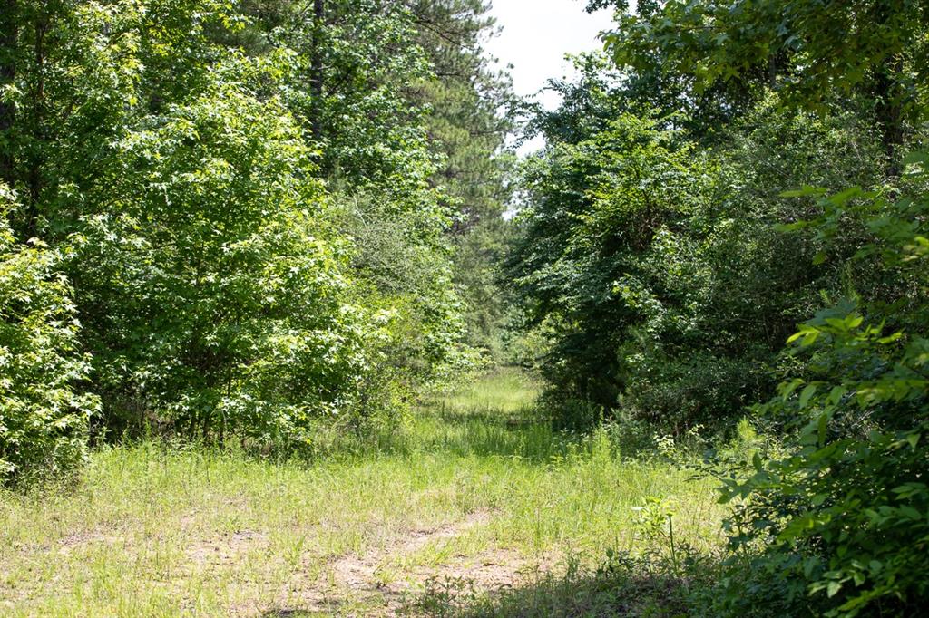 5 Highway 190, Oakhurst, Texas image 16