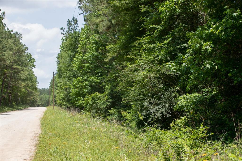 5 Highway 190, Oakhurst, Texas image 15
