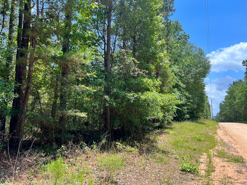 5 Highway 190, Oakhurst, Texas image 12