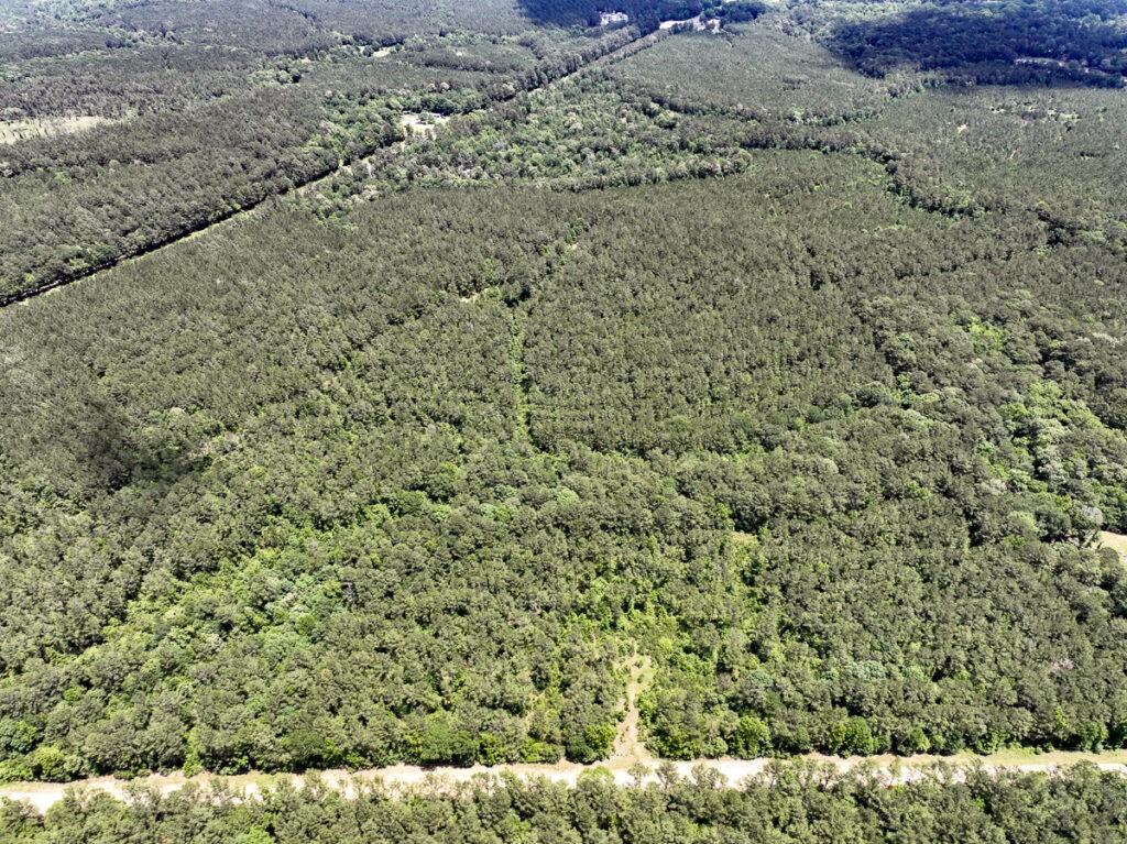 5 Highway 190, Oakhurst, Texas image 3