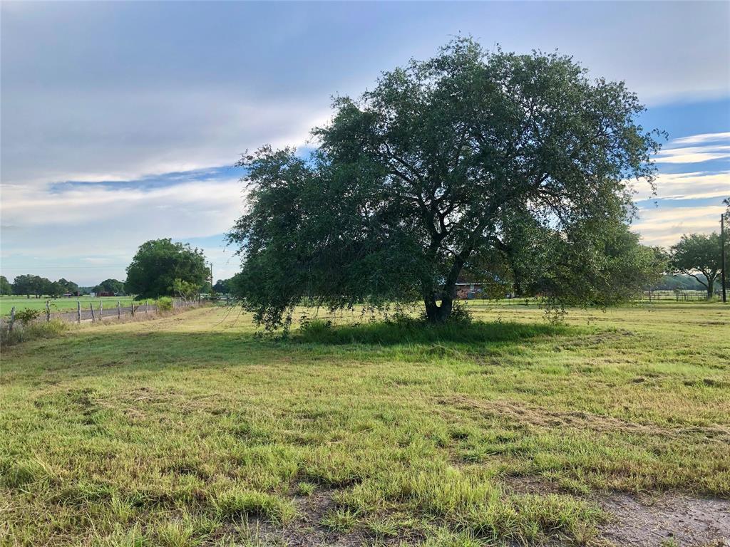 Lot 1 Pvt 1671, Hallettsville, Texas image 3