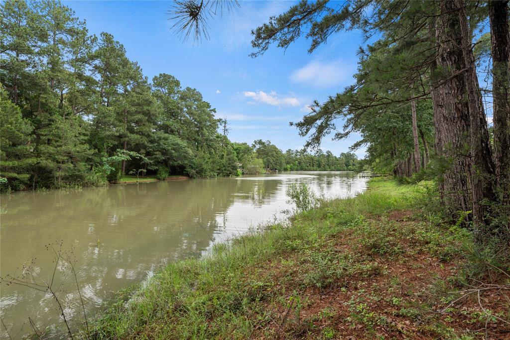 11242 Magnolia Drive, Plantersville, Texas image 37