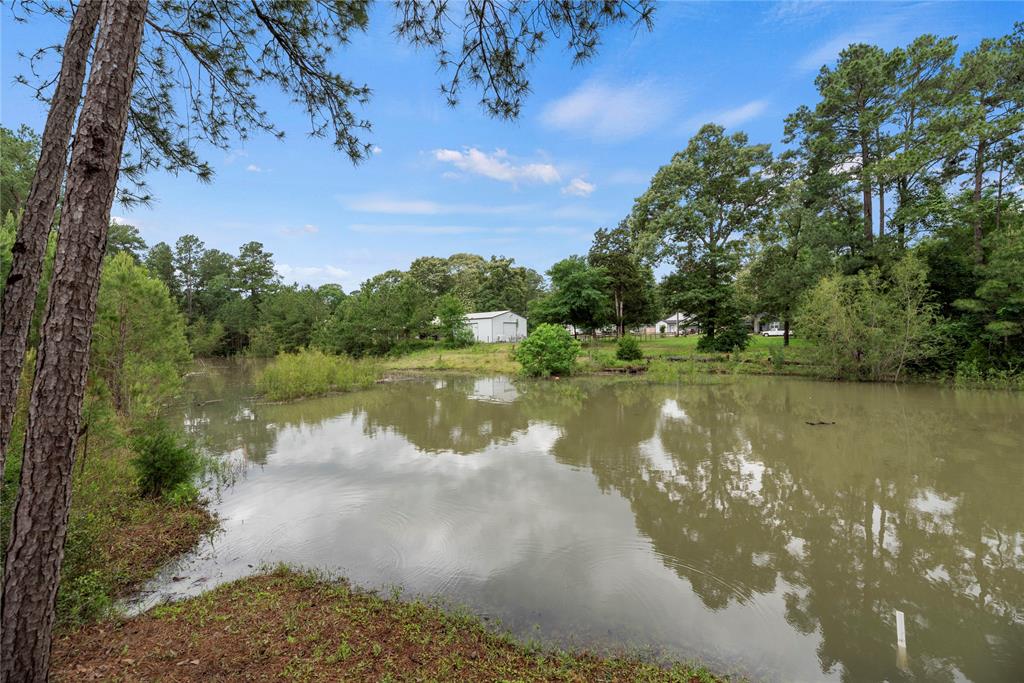 11242 Magnolia Drive, Plantersville, Texas image 36