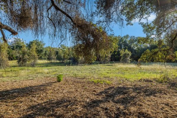 TBD Drake Lane-lot 11, Round Top, Texas image 4