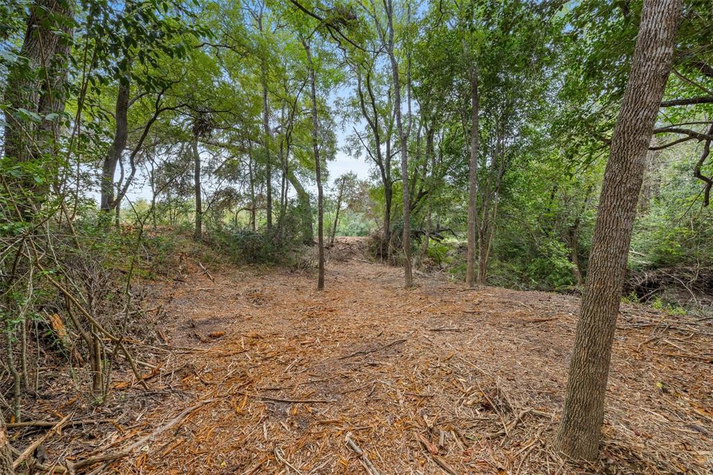 TBD Drake Lane-lot 11, Round Top, Texas image 3