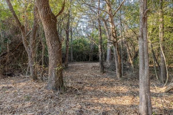 TBD Drake Lane-lot 11, Round Top, Texas image 5