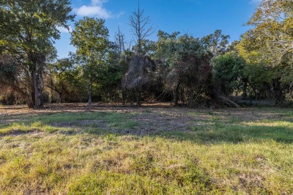 TBD Drake Lane-lot 11, Round Top, Texas image 6