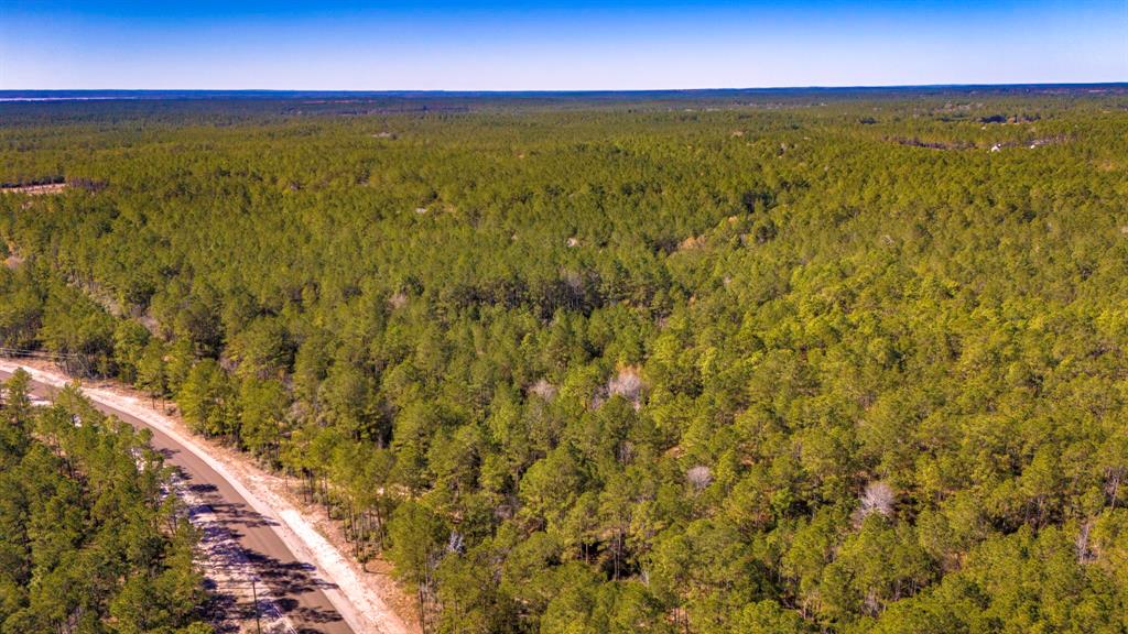 044 King Ranch Road South Road, Onalaska, Texas image 14