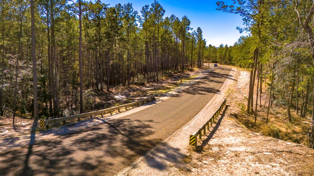 044 King Ranch Road South Road, Onalaska, Texas image 10