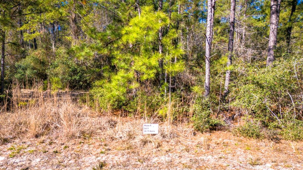 044 King Ranch Road South Road, Onalaska, Texas image 11