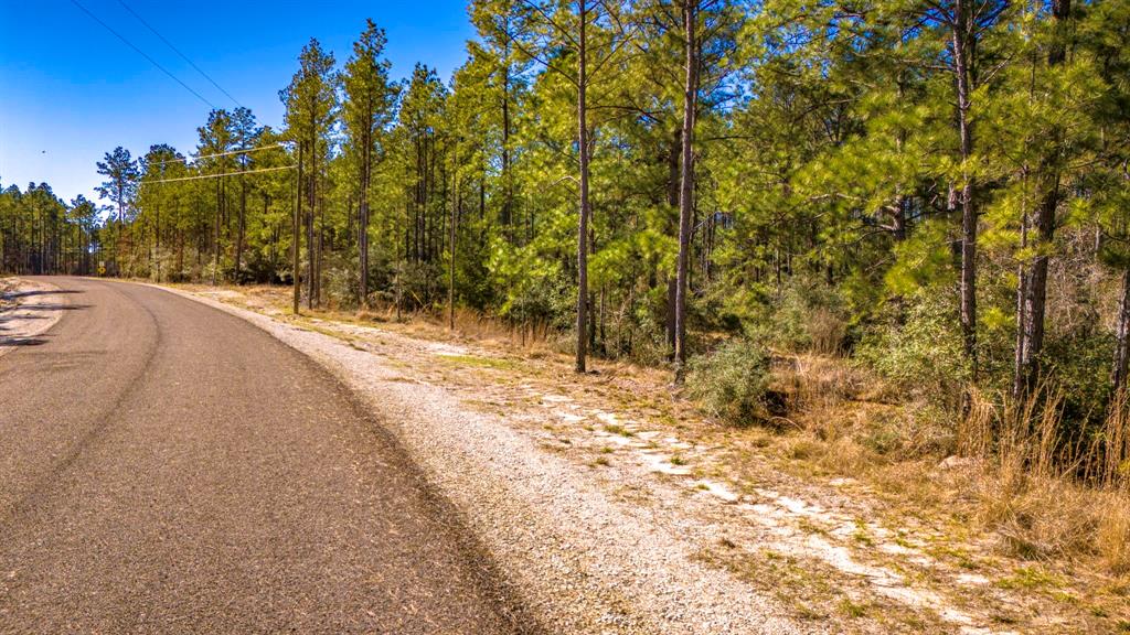 044 King Ranch Road South Road, Onalaska, Texas image 8