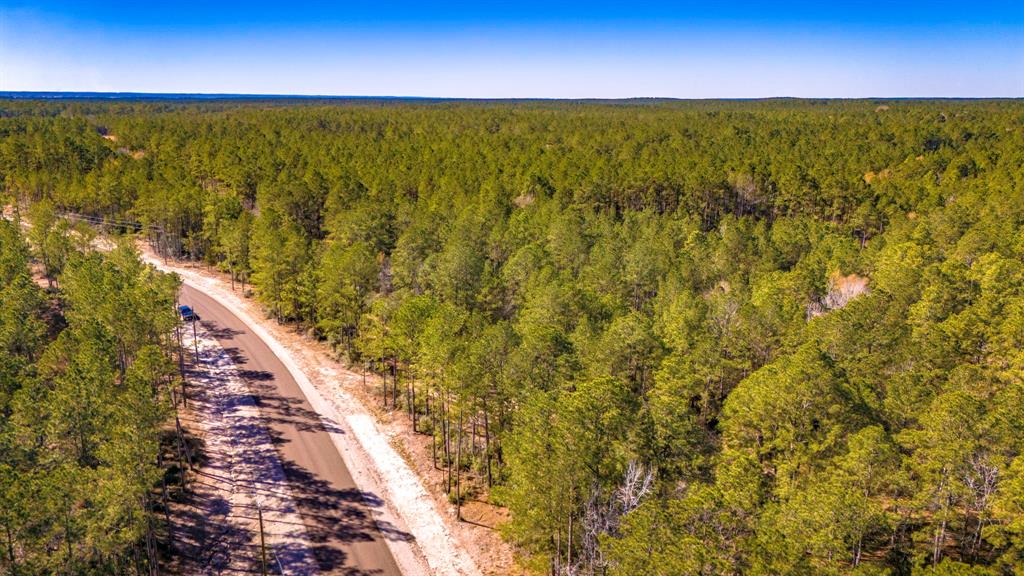 044 King Ranch Road South Road, Onalaska, Texas image 13